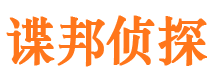 黄石侦探公司